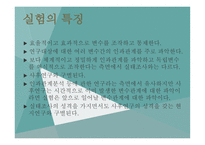 실험 연구 레포트-3