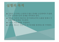실험 연구 레포트-4