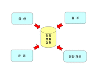 국민건강증진 종합계획-12