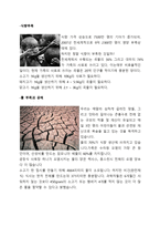 축산업이 가져온 온난화 심각성과 그 대책 보고서-4