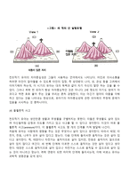 [전조작기의 사고] 피아제의 전조작기(상징적 사고, 직관적 사고, 자아중심적 사고, 물활론적 사고, 도덕적 실재론, 꿈의 실재론)-4