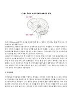 언어발달이론(학습이론, 선천적 획득이론, 인지이론, 상호작용이론) - 언어발달이론 중 행동주의적 관점, 인지적 상호작용주의 관점-3