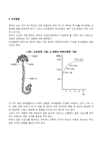[영아기 신체운동발달] 영아의 신체발달(키,몸무게,골격,근육,치아발달), 두뇌발달, 운동발달-5