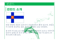 핀란드의 문화, 예술, 역사-3