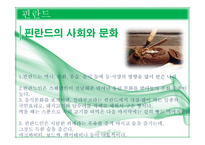 핀란드의 문화, 예술, 역사-6