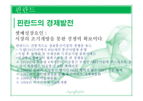 핀란드의 문화, 예술, 역사-19
