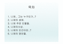 니체의 생애 레포트-2
