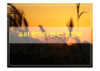 조정래 생애 레포트-1
