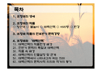 조정래 생애 레포트-3