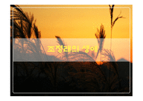 조정래 생애 레포트-4