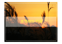 조정래 생애 레포트-10