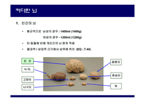 가장 뛰어난 뇌의 조건-4