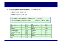 가장 뛰어난 뇌의 조건-10