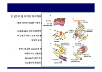 가장 뛰어난 뇌의 조건-16