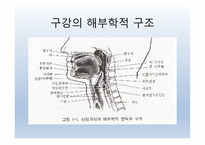Dysphagia(연하곤란)-2