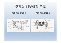 Dysphagia(연하곤란)-3