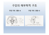 Dysphagia(연하곤란)-4