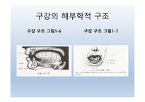 Dysphagia(연하곤란)-5