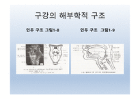 Dysphagia(연하곤란)-6