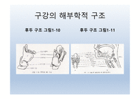 Dysphagia(연하곤란)-7