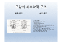 Dysphagia(연하곤란)-8