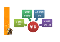 스포츠상해 그리고 배드민턴-4