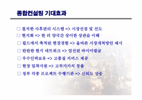 사업계획서(창업계획서) : 글로벌 무역 컨설팅 회사 설립과 운영에 관한 사업계획서(창업계획서)-17