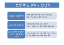 사업계획서(창업계획서) : 반찬배달전문쇼핑몰사업계획서-3