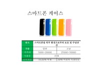 사업계획서(창업계획서) : 대부분의 사람들이 보유하고 있는 휴대폰의 악세서리를 공급하는 휴대폰 악세사리 사업계획서-9