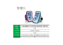 사업계획서(창업계획서) : 대부분의 사람들이 보유하고 있는 휴대폰의 악세서리를 공급하는 휴대폰 악세사리 사업계획서-13