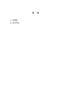 마케팅 미니 북 : 마케팅의 타겟팅과 포지셔닝의 완전한 이해-2