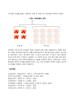 피아제는 유아기를 전조작기 단계로 그 특징을 상징적 사고, 자아중심적 사고, 직관적 사고로 구분하였다 각 특징에 대해 설명하시오-7