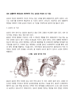 성의 생물학적 측면 성의 해부학적 구조 남성과 여성의 성 기관