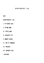 형제자매관계의 기능-1