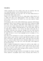 가족 권력구조-1