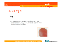 RFID에 대하여(유비쿼터스환경기반으로)-13