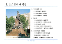 [국제경영전략론]오스트리아 시장진출전략-8