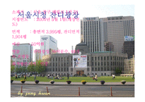 [행정학원론] 서울시청 잔디광장 이용실태 및 서비스-5