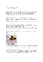 [세계음식문화] 그리스 음식문화-8