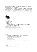[장애인복지와 방송] 시청각 장애인의 TV방송 접근실태와 개선방안-4