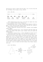 [정책학] 공공조직의 팀제운용에 있어서 논점과 과제-4