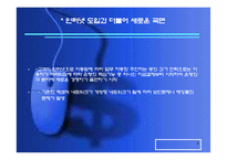 [인터넷금융론] 인터넷뱅킹과 은행업의 디지털화-4