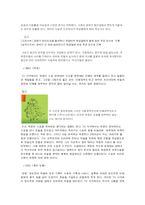 [대중문화] TV사극의 역사왜곡-6