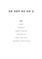 [한류문화] 한류 열풍에 대한 허와 실-1