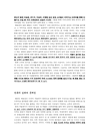 [한류문화] 한류 열풍에 대한 허와 실-5
