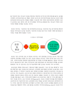 [관광마케팅]대전시의 관광상품화 및 전략적 활용방안-9