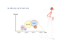 롯데백화점 경영전략 분석-11