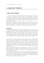 [마케팅조사론] CRM의 이용현황과 사례, 한계와 문제점-2