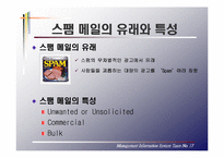 [MIS 경영정보시스템] 스팸메일(Spam-mail)에 따른 경제적 손실과 대응 방안-4