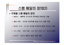 [MIS 경영정보시스템] 스팸메일(Spam-mail)에 따른 경제적 손실과 대응 방안-6